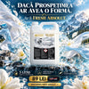 5 L Balsam ULTRA Parfumat Fresh Absolut